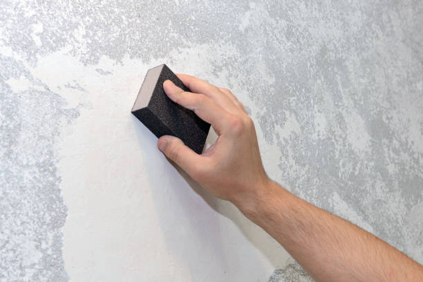 Best Mold Odor Removal Services  in Cedar Ridge, CA