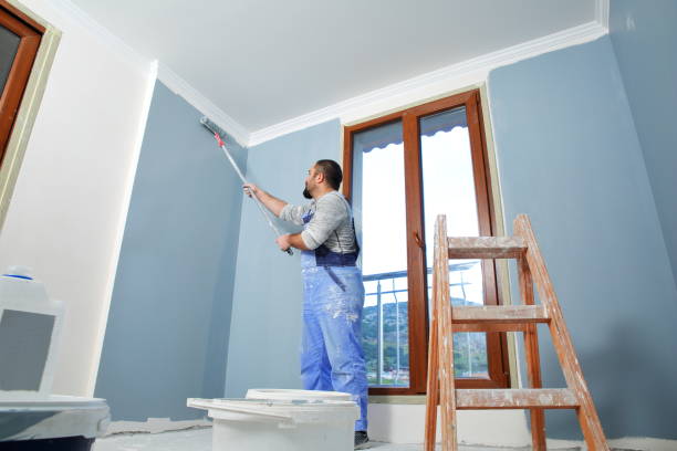 Best Mold Prevention Services  in Cedar Ridge, CA
