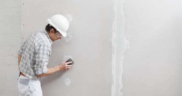 Best Air Quality Testing for Mold Spores  in Cedar Ridge, CA