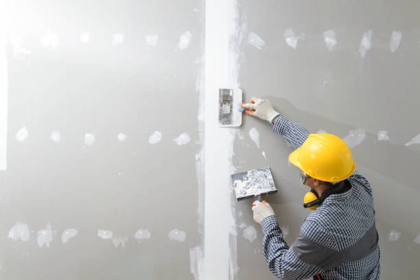 Biohazard Mold Removal in Cedar Ridge, CA