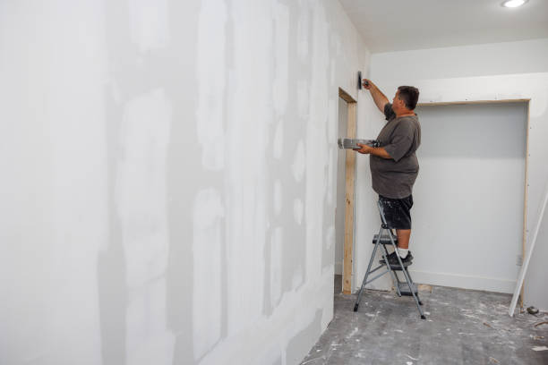 Best Forensic Mold Investigation  in Cedar Ridge, CA