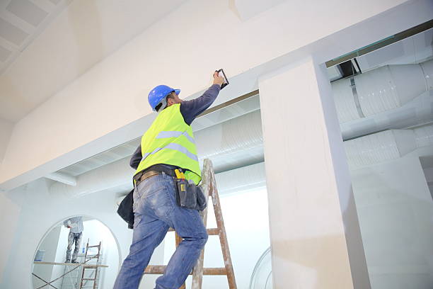 Best Environmental Consulting for Mold Prevention  in Cedar Ridge, CA