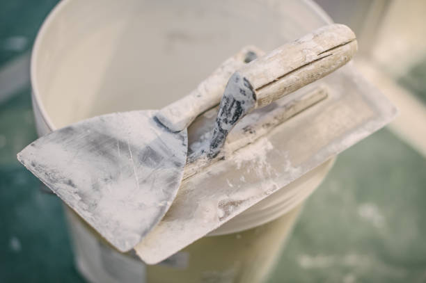 Best Mold Documentation for Insurance Claims  in Cedar Ridge, CA